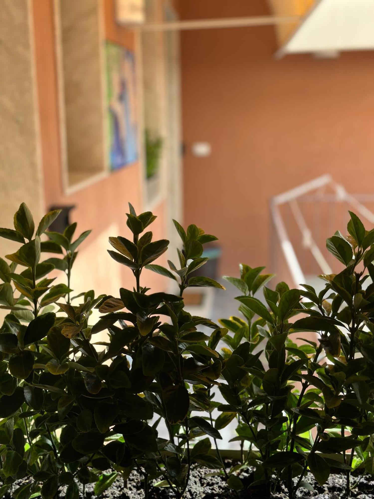 Le Camere Luxury Rooms Siracusa Syracuse Exterior foto